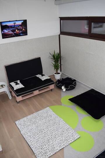Фото Отель Zen Pet Club - Luxury Pet Hotel г. Bragadiru 5