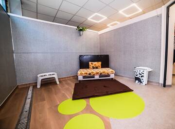 Фото номера Одноместный номер с террасой Отель Zen Pet Club - Luxury Pet Hotel г. Bragadiru 3