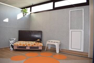 Фото номера Одноместный номер с террасой Отель Zen Pet Club - Luxury Pet Hotel г. Bragadiru 5
