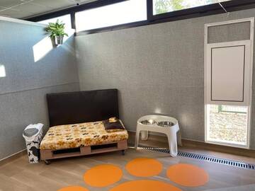 Фото номера Одноместный номер с террасой Отель Zen Pet Club - Luxury Pet Hotel г. Bragadiru 7