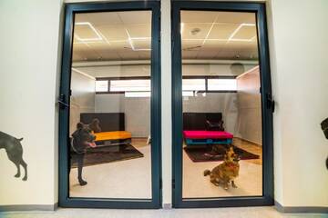Фото номера Одноместный номер Отель Zen Pet Club - Luxury Pet Hotel г. Bragadiru 2